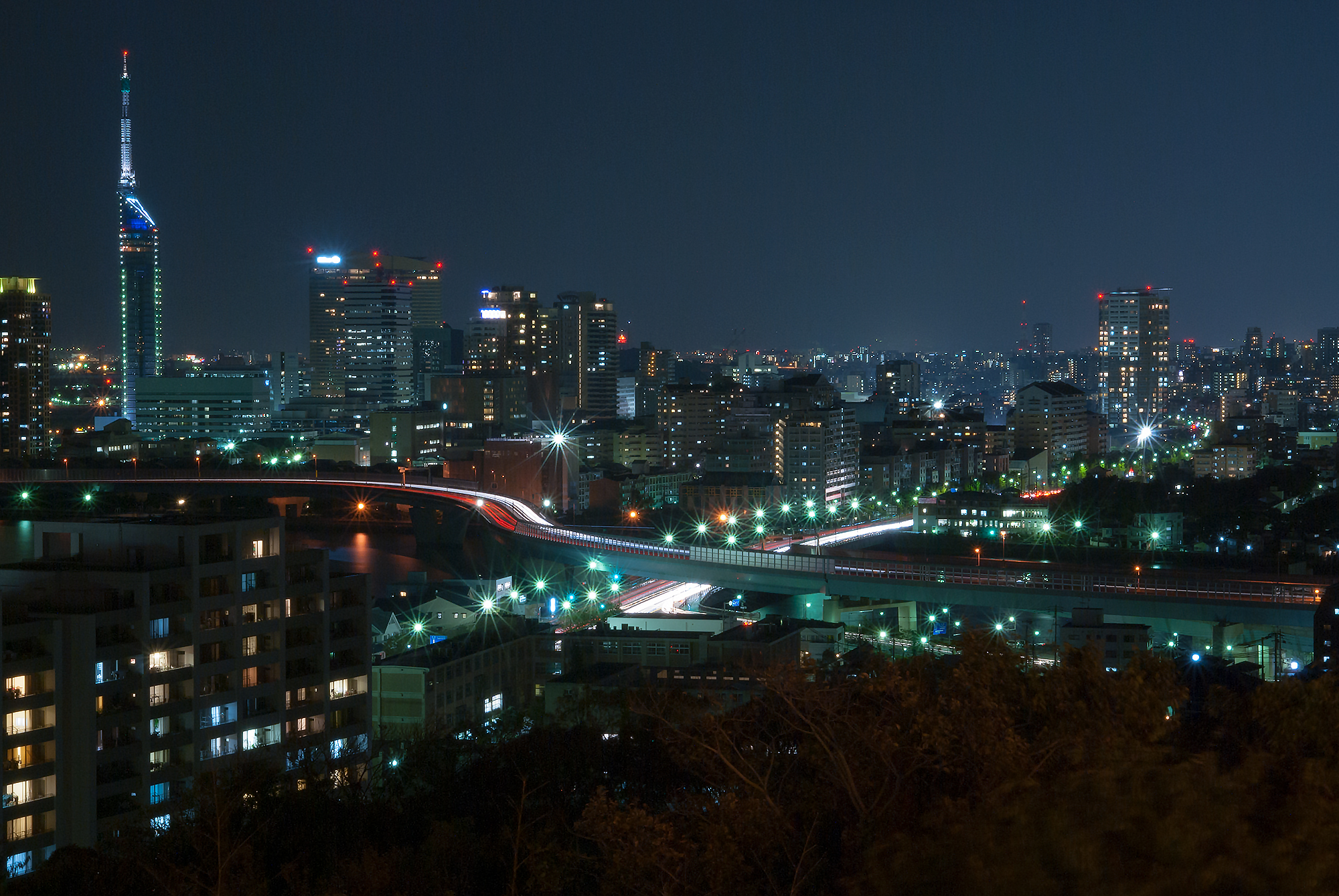 福岡タワーと都市高速の夜景 フリー写真素材の Freesnake Photo フリースネークフォト