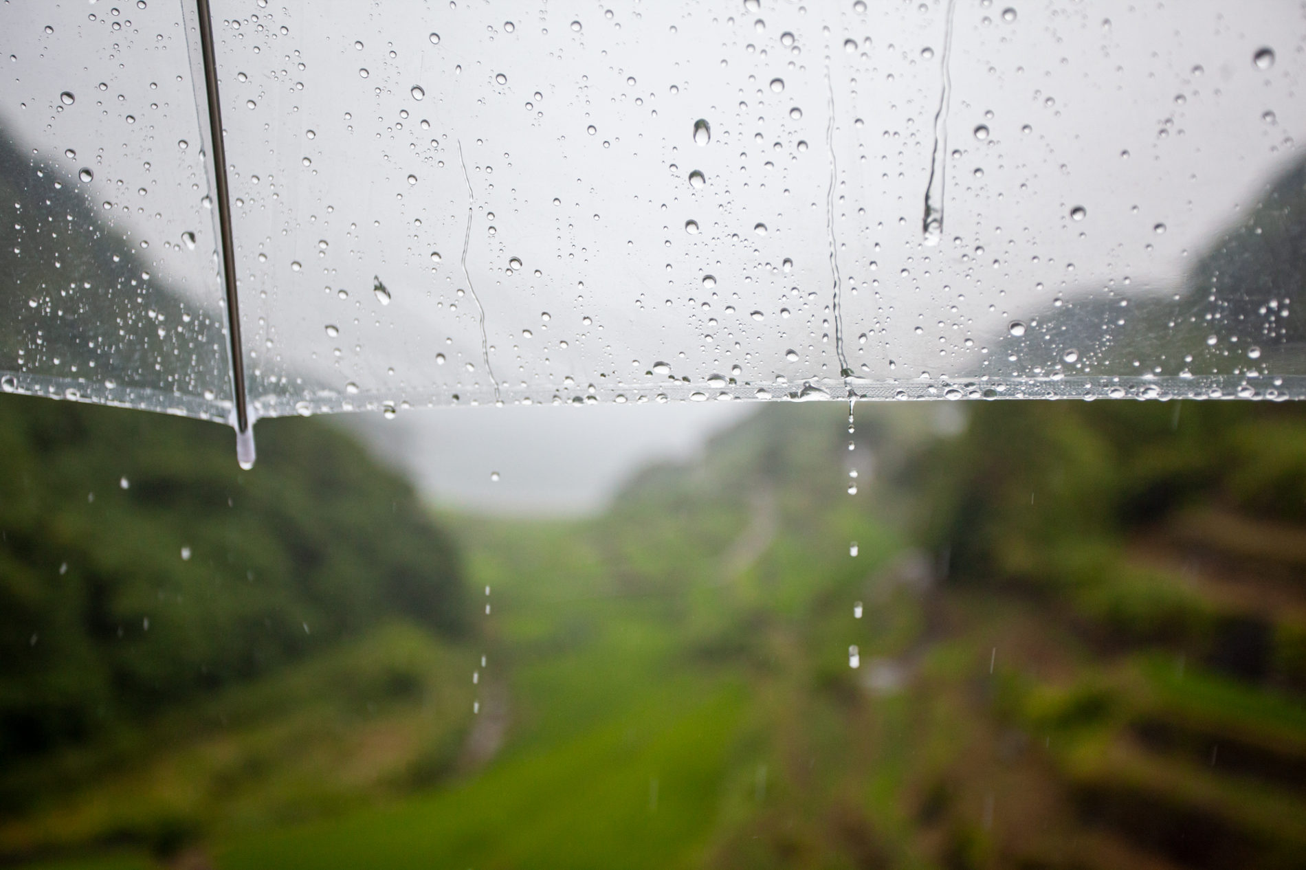雨の日のビニール傘と雫