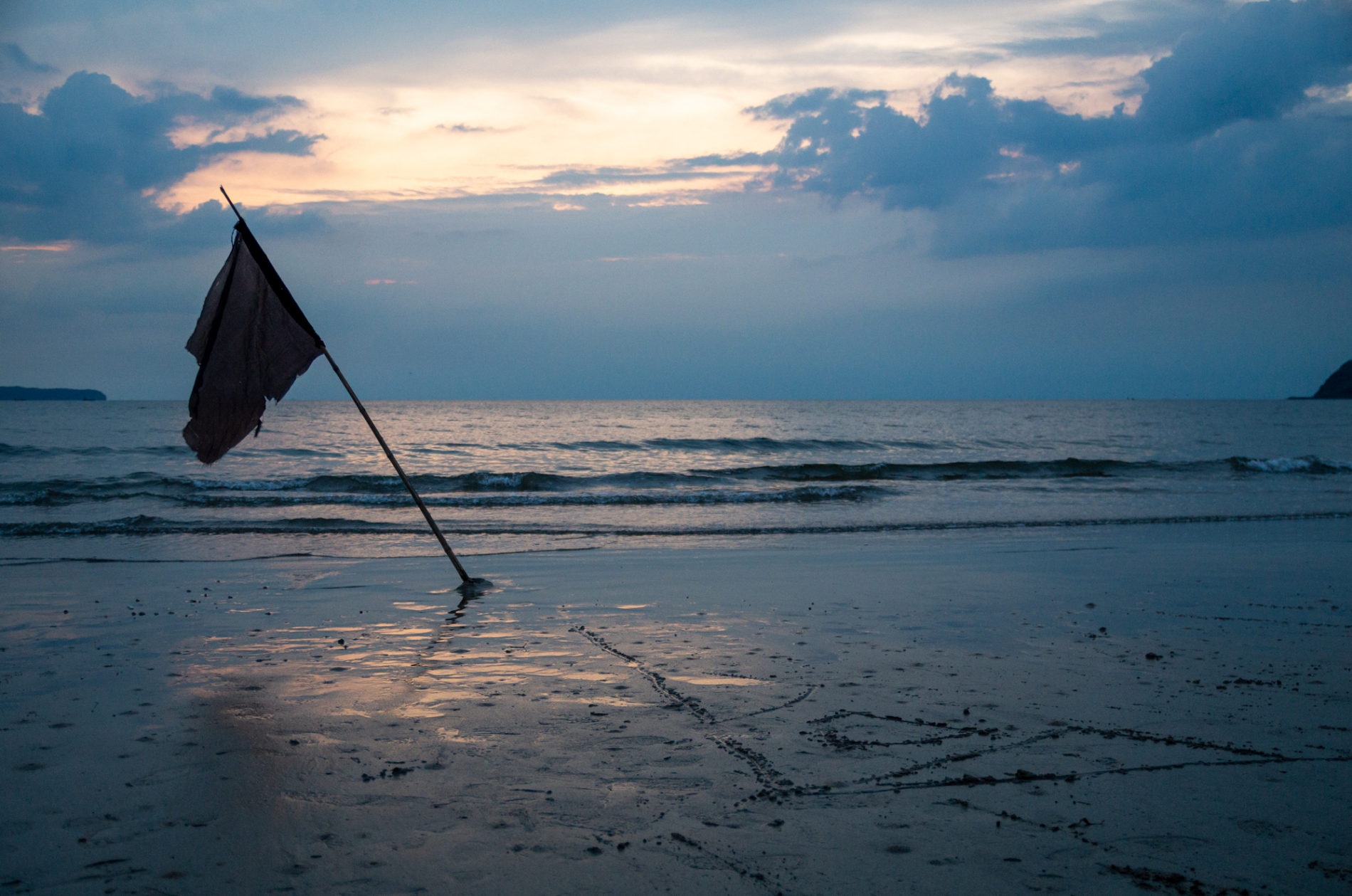 海岸 浜辺 海 空 砂浜 日没後 フラッグ 旗 青の写真