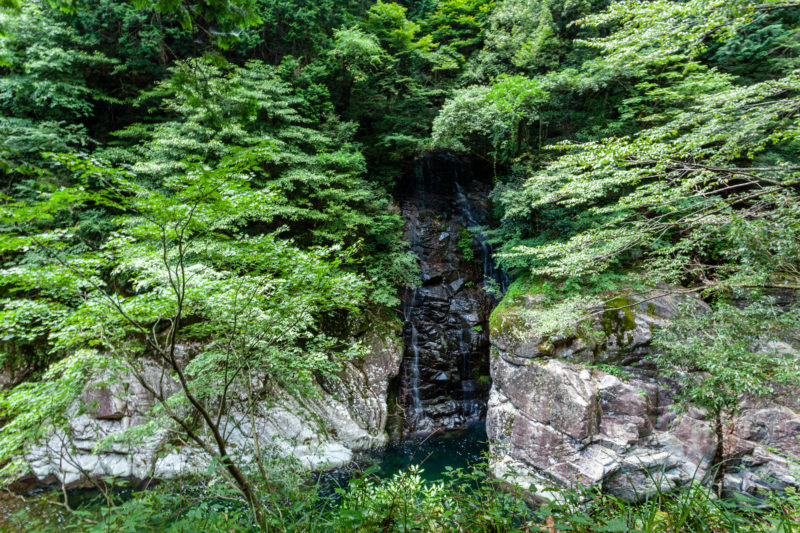 新緑の季節山の中の小さな滝の風景